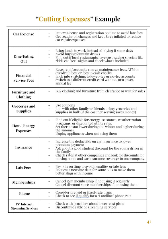 Financial Freedom Planner